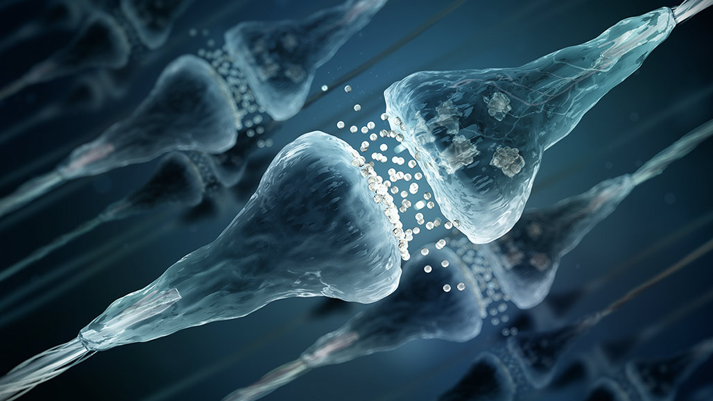 อัปเกรดสมอง วิวัฒนาการขั้นสุดยอดของมวลมนุษย์ ด้วยชิป Neuralink อัปเกรดสมอง วิวัฒนาการขั้นสุดยอดของมวลมนุษย์ ด้วยชิป Neuralink