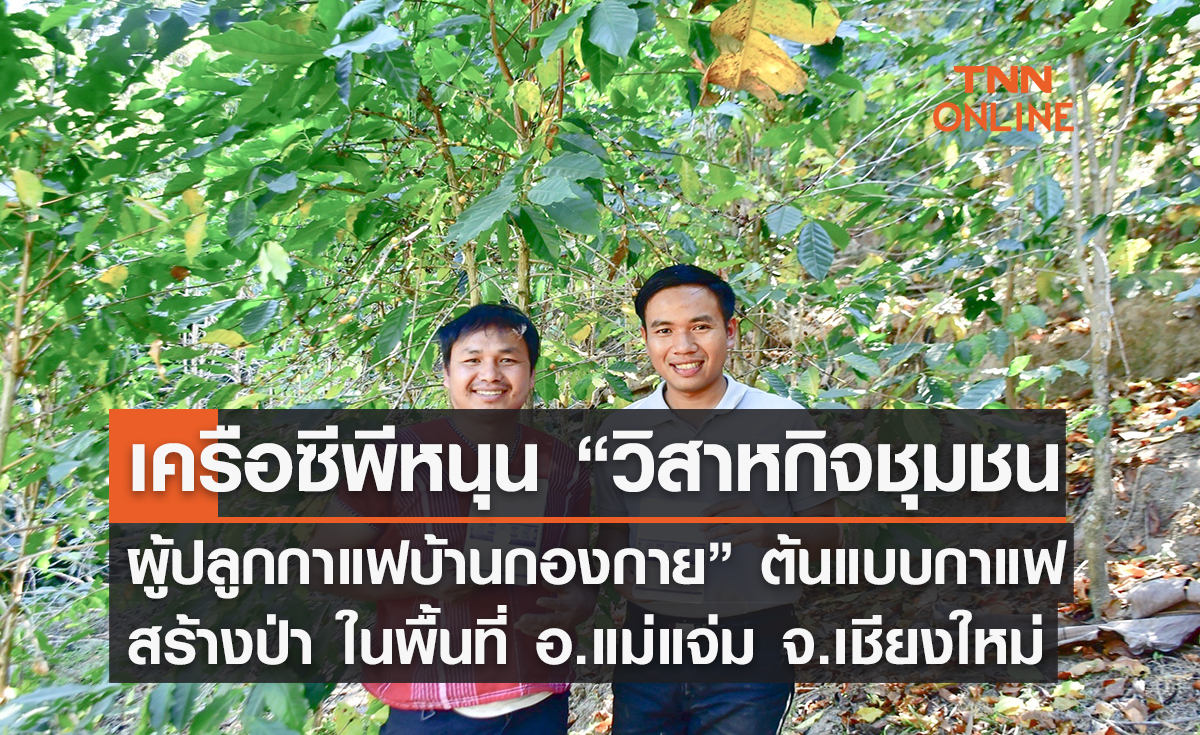 เครือซีพี หนุน “วิสาหกิจชุมชนผู้ปลูกกาแฟบ้านกองกาย” ต้นแบบกาแฟสร้างป่าในพื้นที่ อ.แม่แจ่ม จ.เชียงใหม่