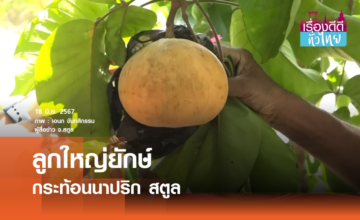 "บ้านนาปริก"หมู่บ้านกระท้อนยักษ์จ.สตูล
